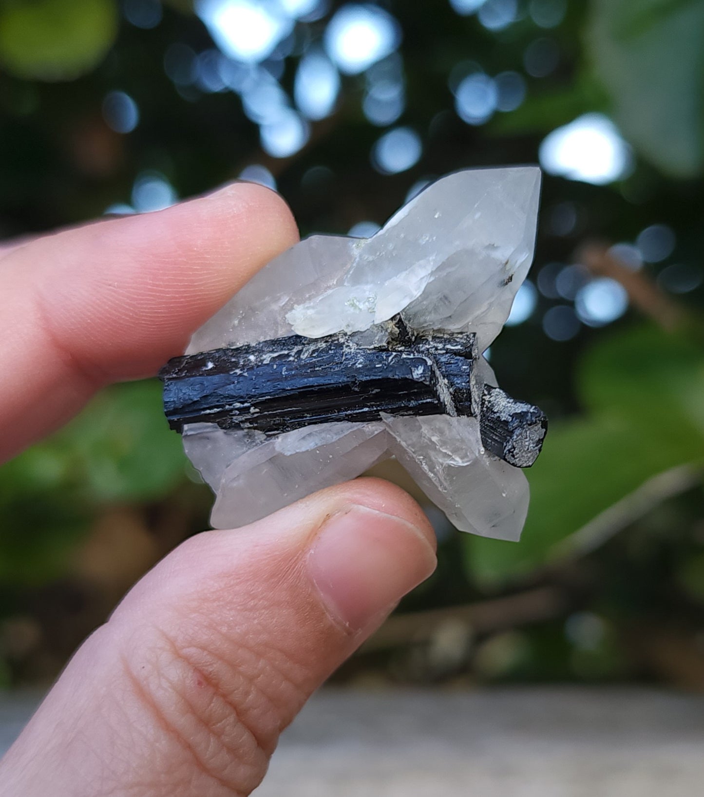 Tourmaline in Quartz Specimen