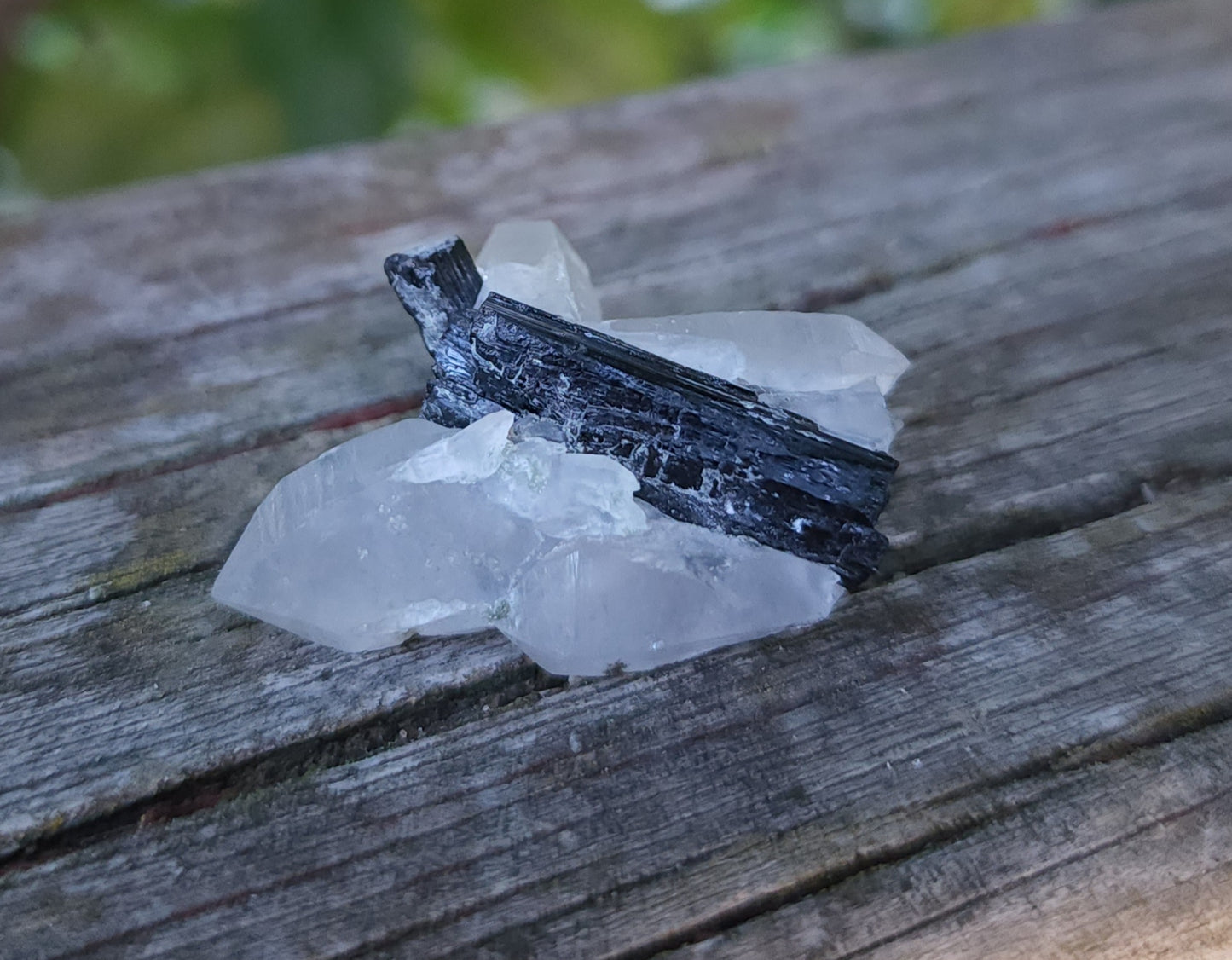 Tourmaline in Quartz Specimen