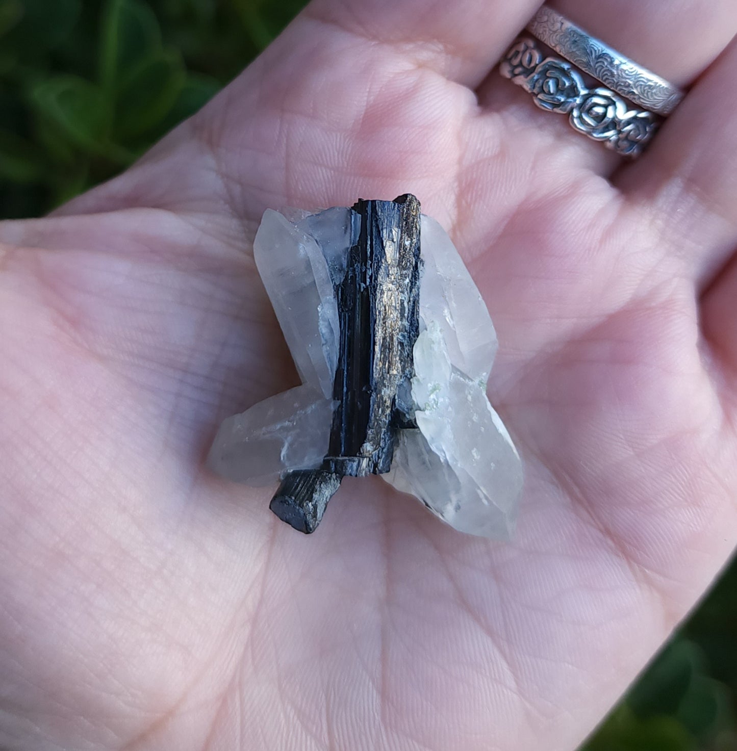 Tourmaline in Quartz Specimen