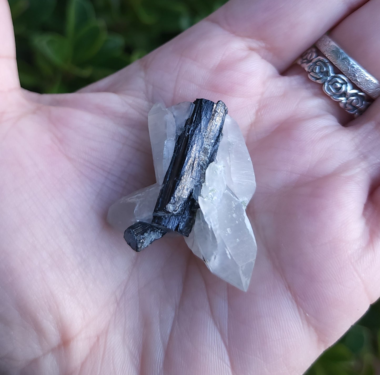 Tourmaline in Quartz Specimen