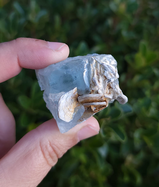 Aquamarine & Muscovite Specimen