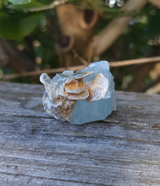 Aquamarine & Muscovite Specimen