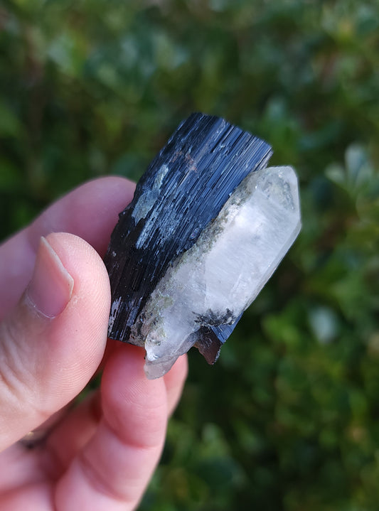 Double Terminated Quartz & Tourmaline with Epidote