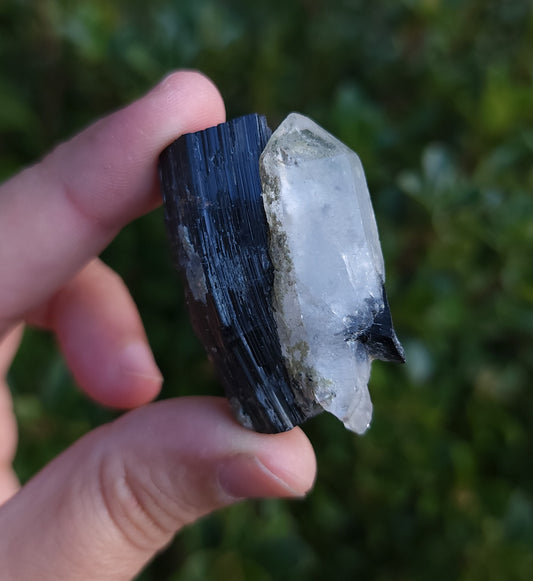 Double Terminated Quartz & Tourmaline with Epidote