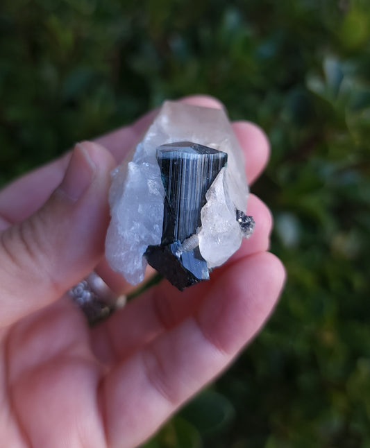 Blue Cap Tourmaline in Quartz with Cleavelandite