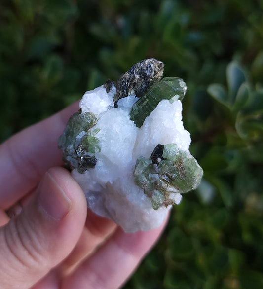 Chrome Diopside & Biotite Mica in Albite