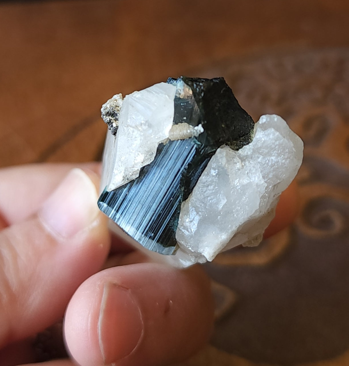 Blue Cap Tourmaline in Quartz with Cleavelandite