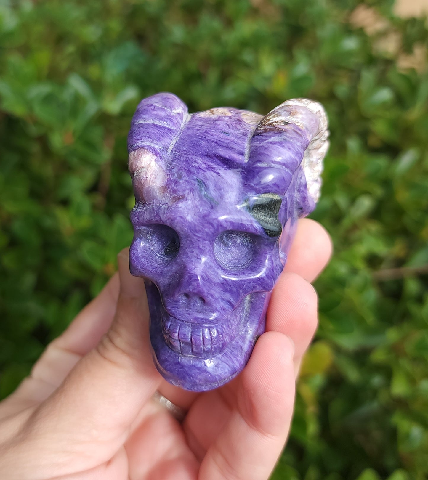 Hand Carved Charoite Horned Skull