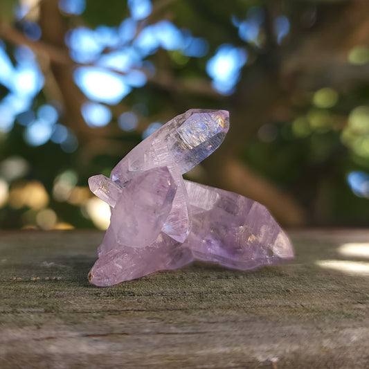 Vera Cruz Amethyst Specimen