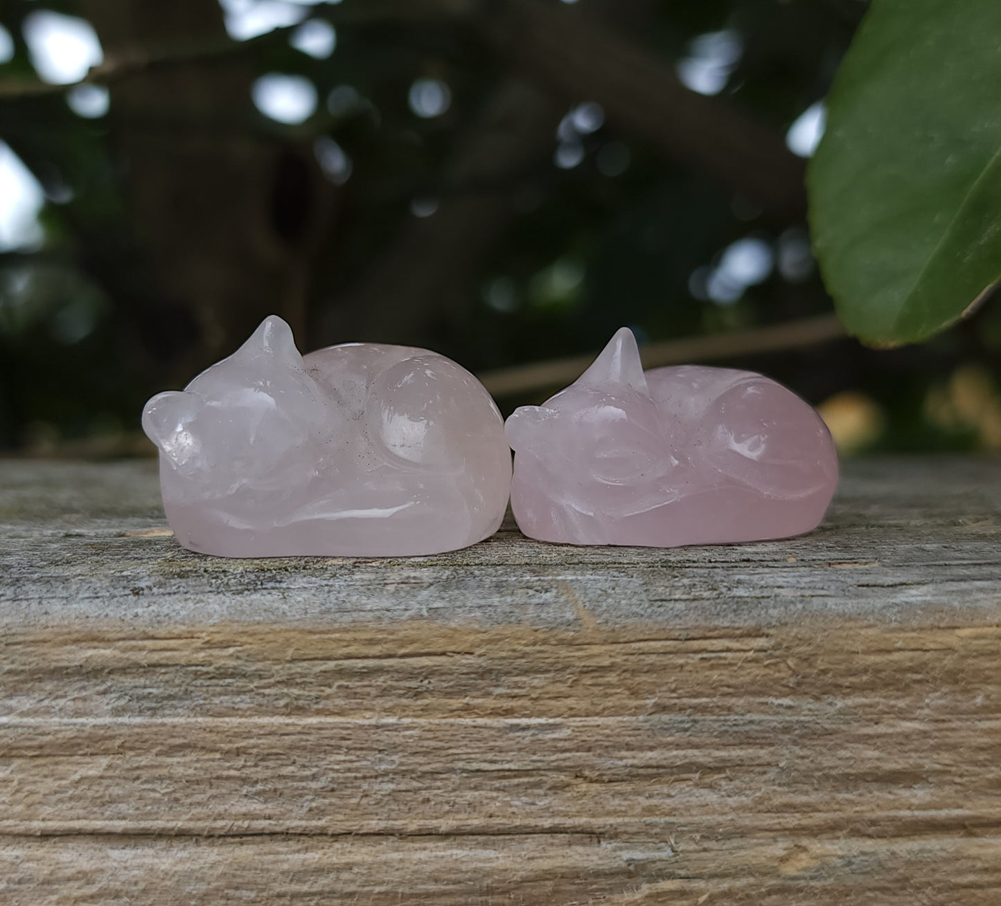 Crystal Kittens