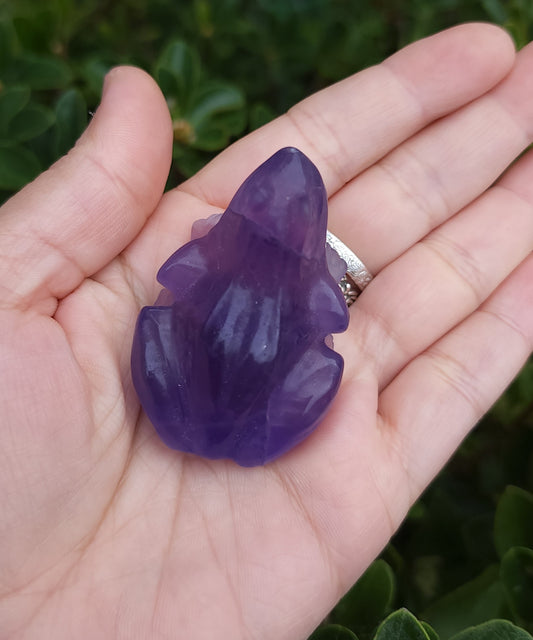 Purple Fluorite Frog