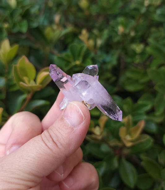 Vera Cruz Amethyst Specimen
