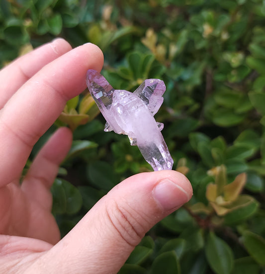 Vera Cruz Amethyst Specimen