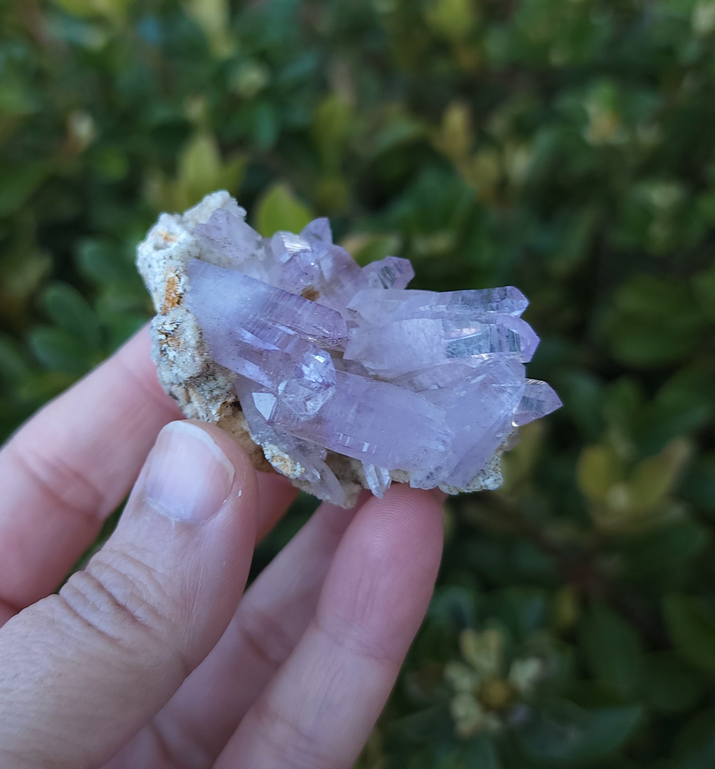 Vera Cruz Amethyst Specimen