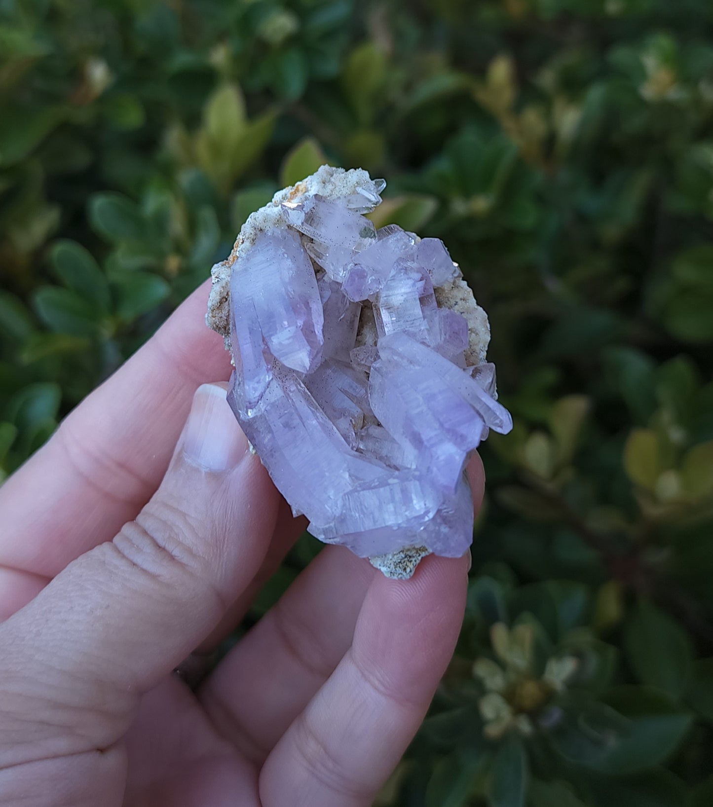 Vera Cruz Amethyst Specimen