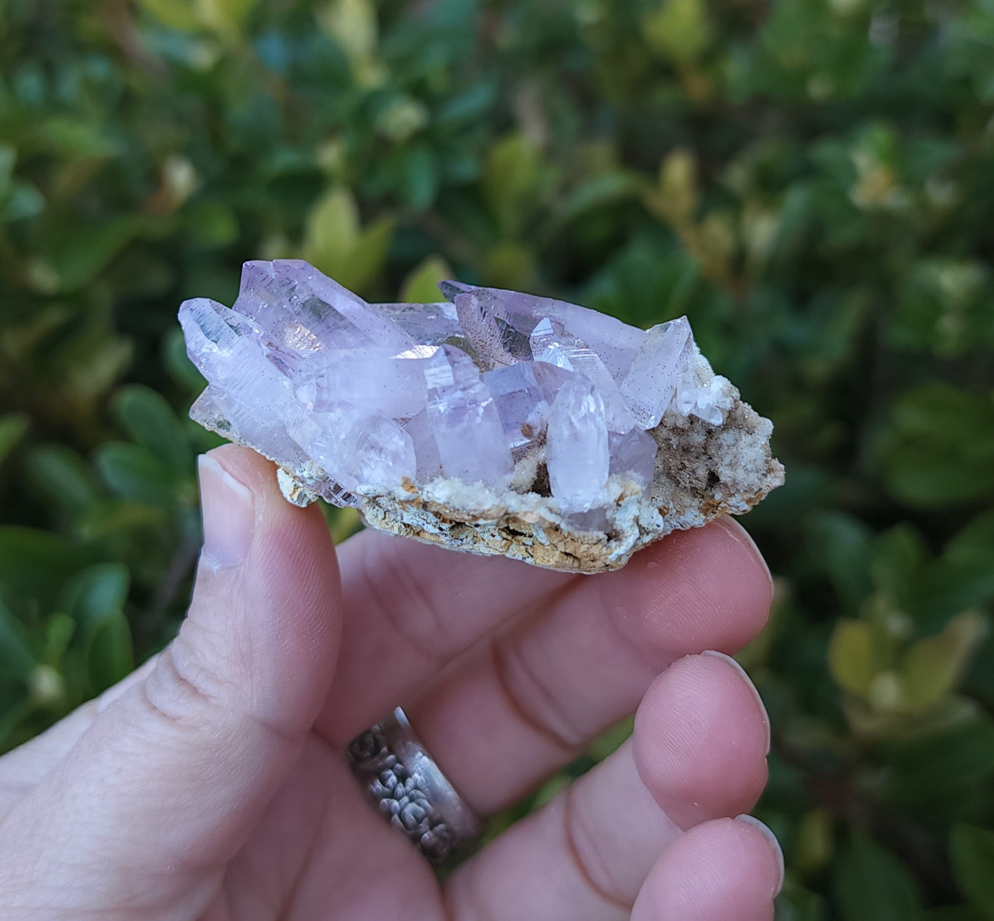 Vera Cruz Amethyst Specimen