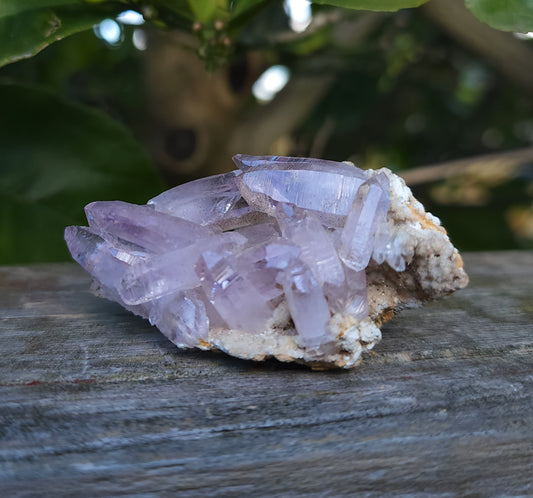 Vera Cruz Amethyst Specimen