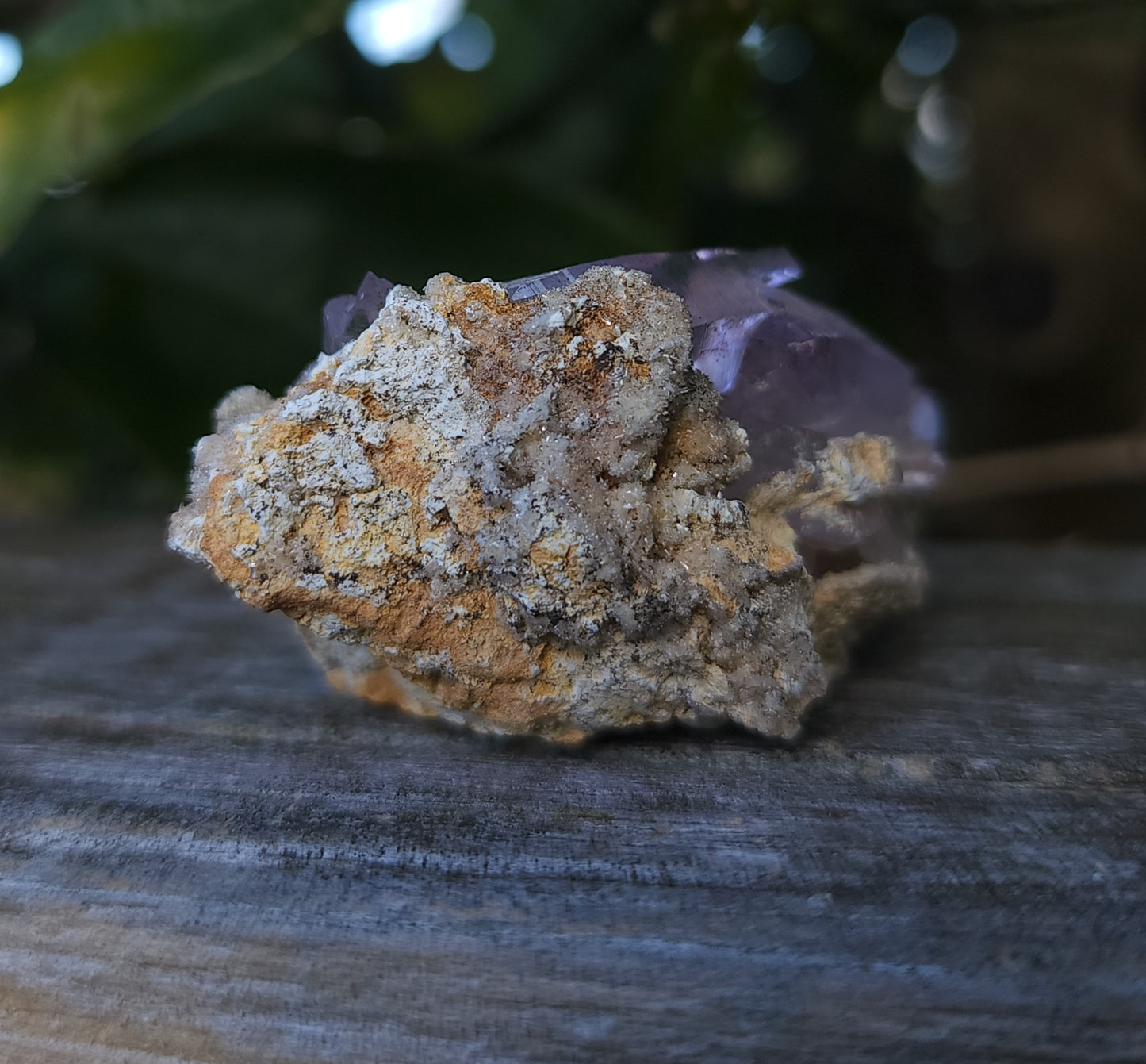 Vera Cruz Amethyst Specimen