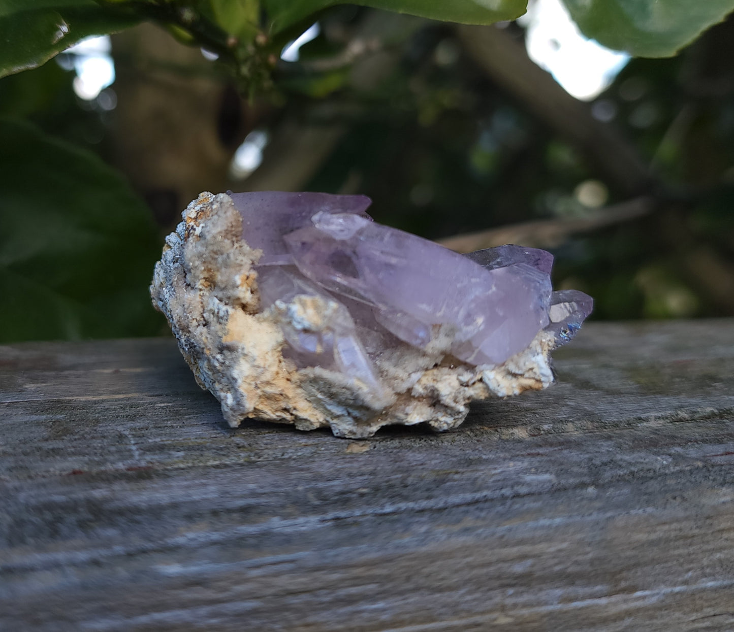 Vera Cruz Amethyst Specimen