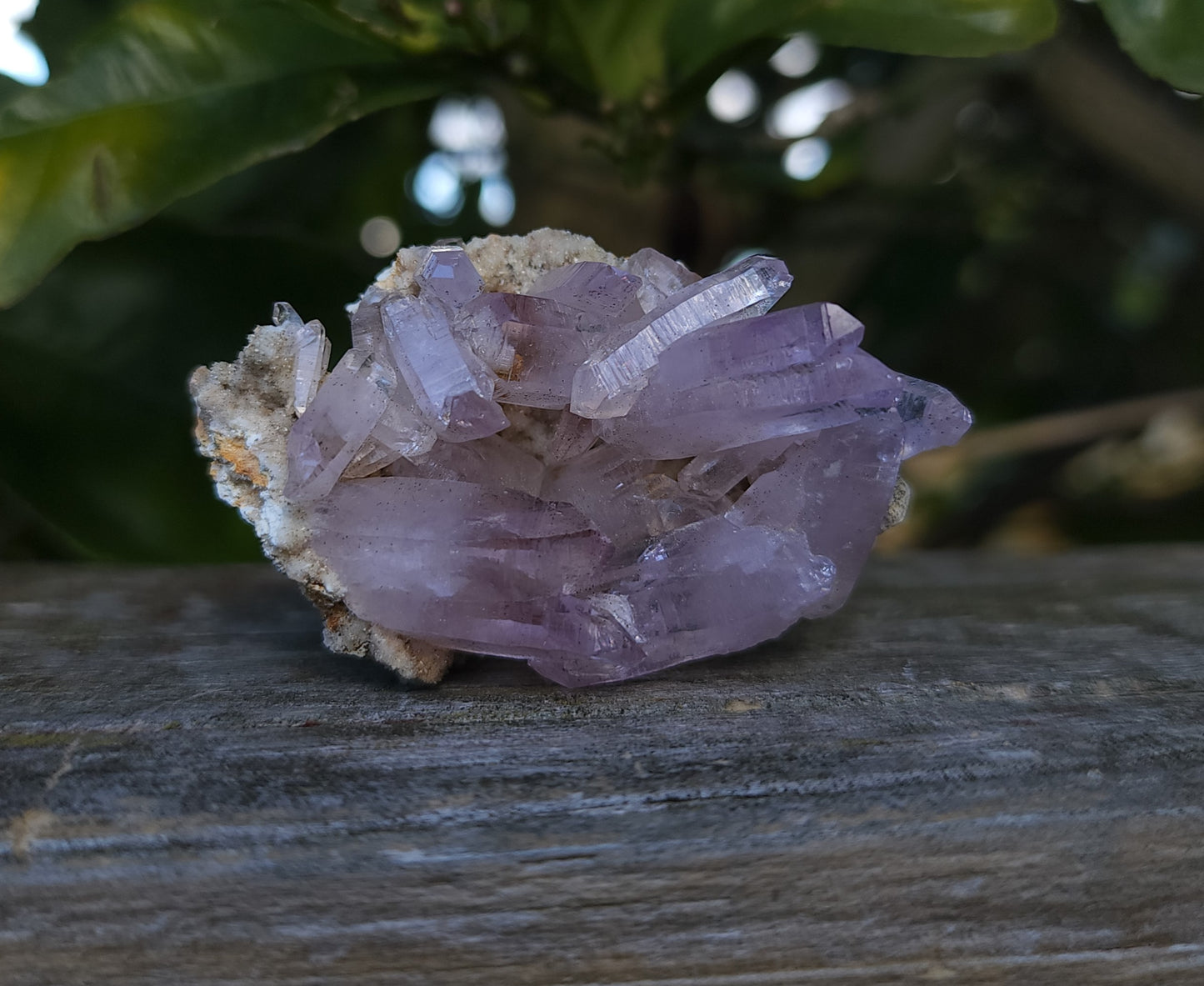 Vera Cruz Amethyst Specimen