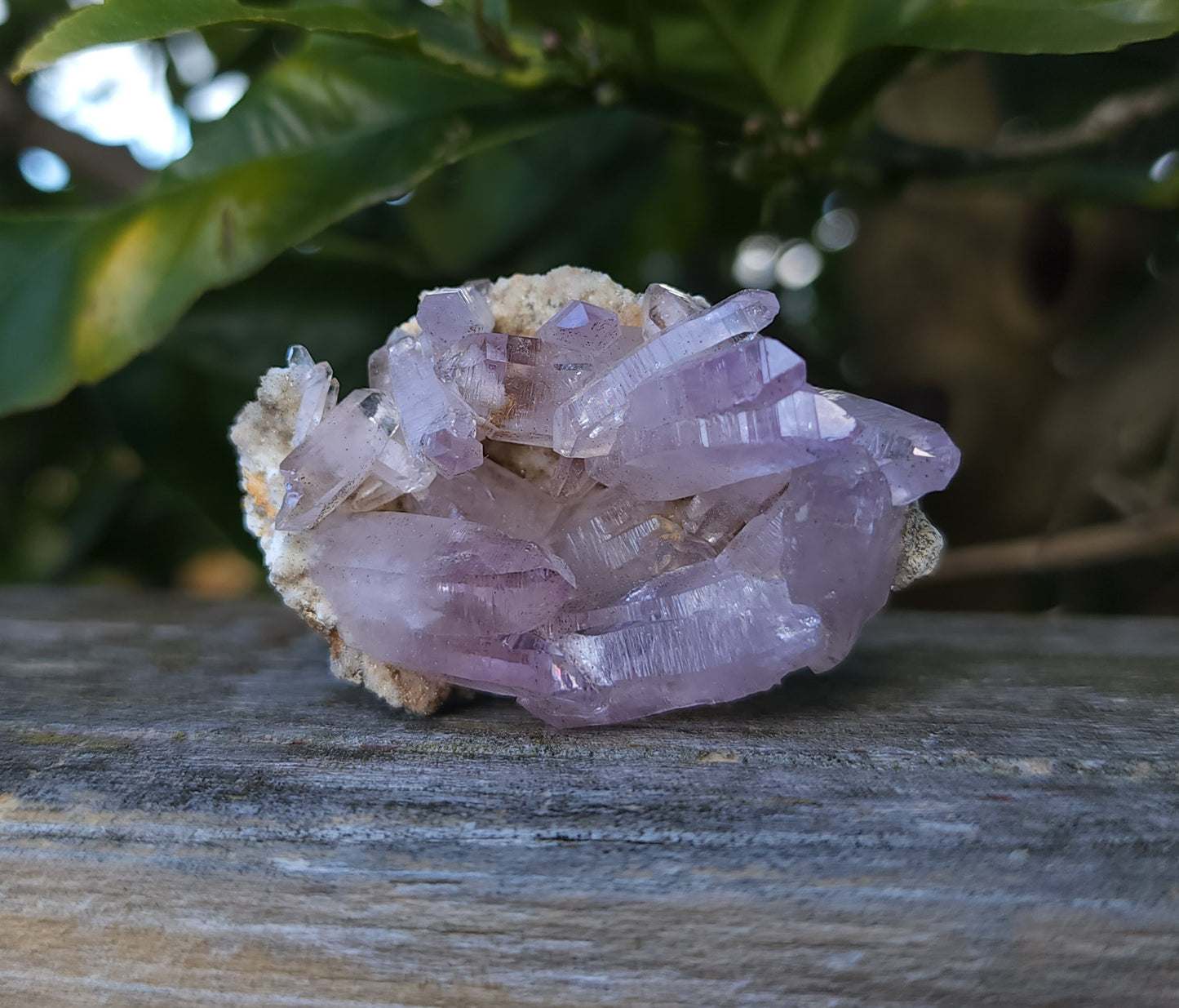 Vera Cruz Amethyst Specimen