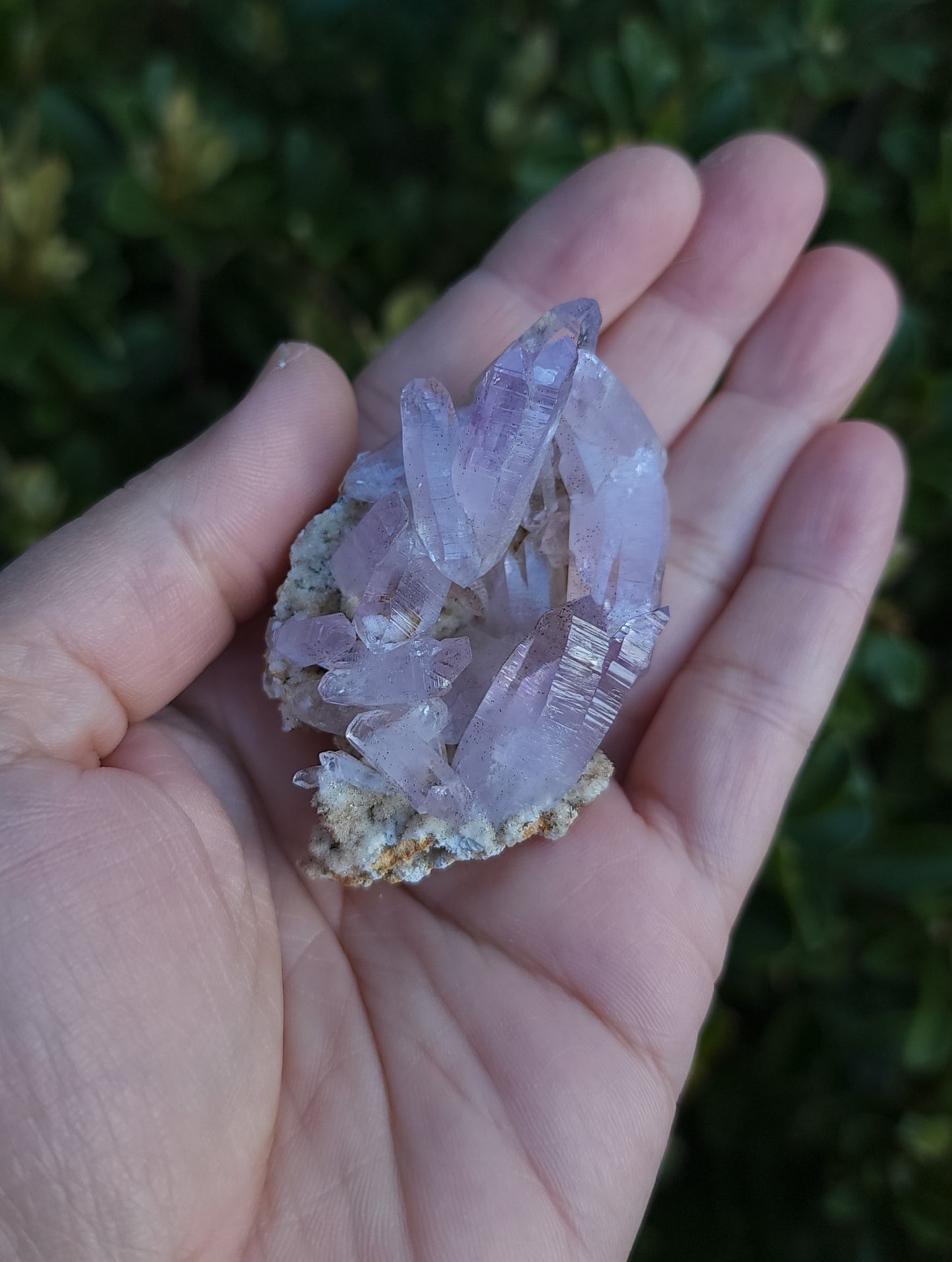 Vera Cruz Amethyst Specimen