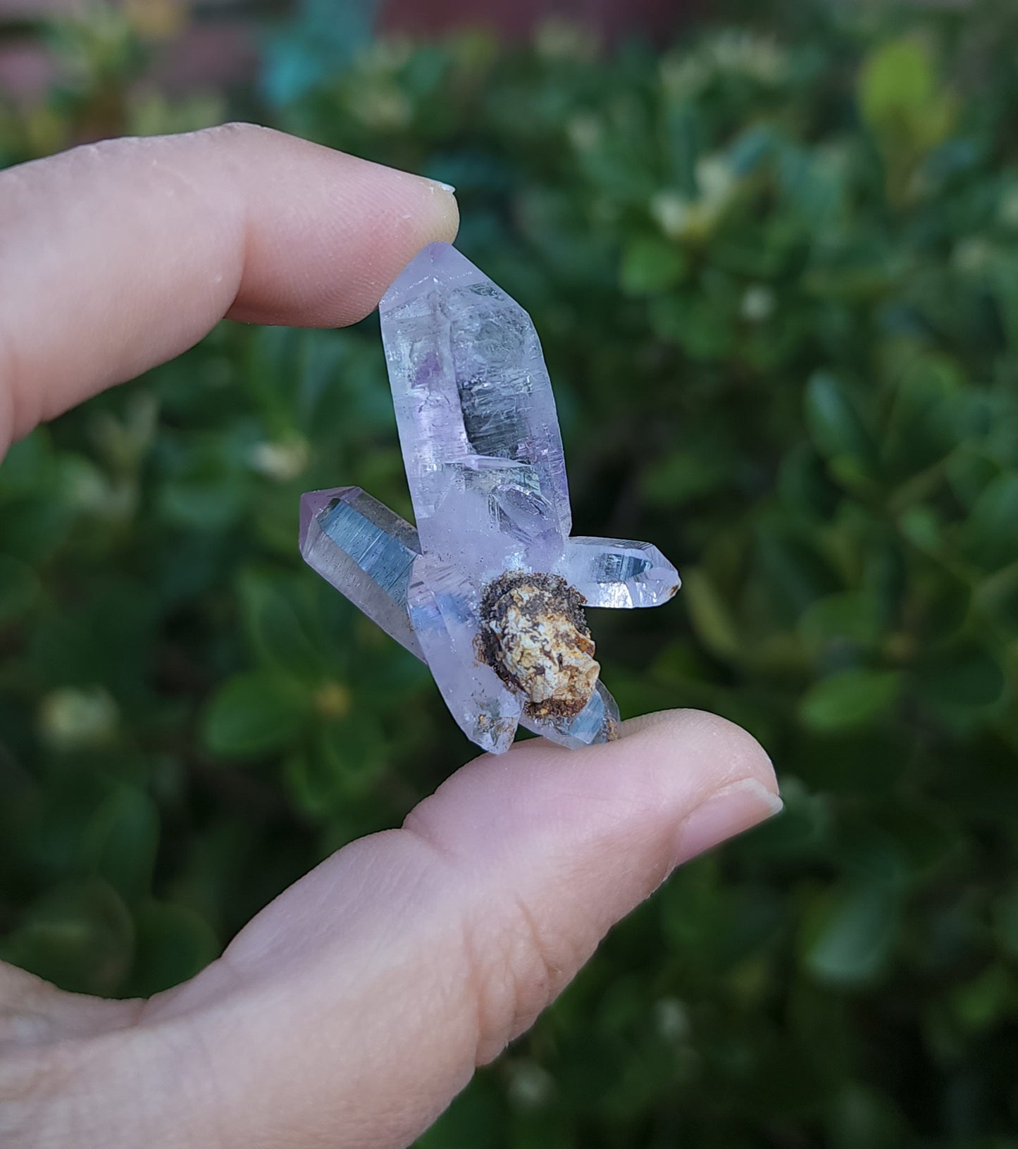 Vera Cruz Amethyst Specimen