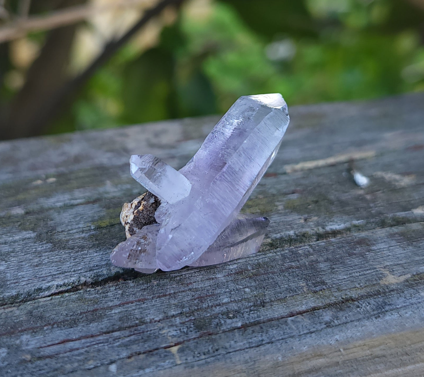 Vera Cruz Amethyst Specimen