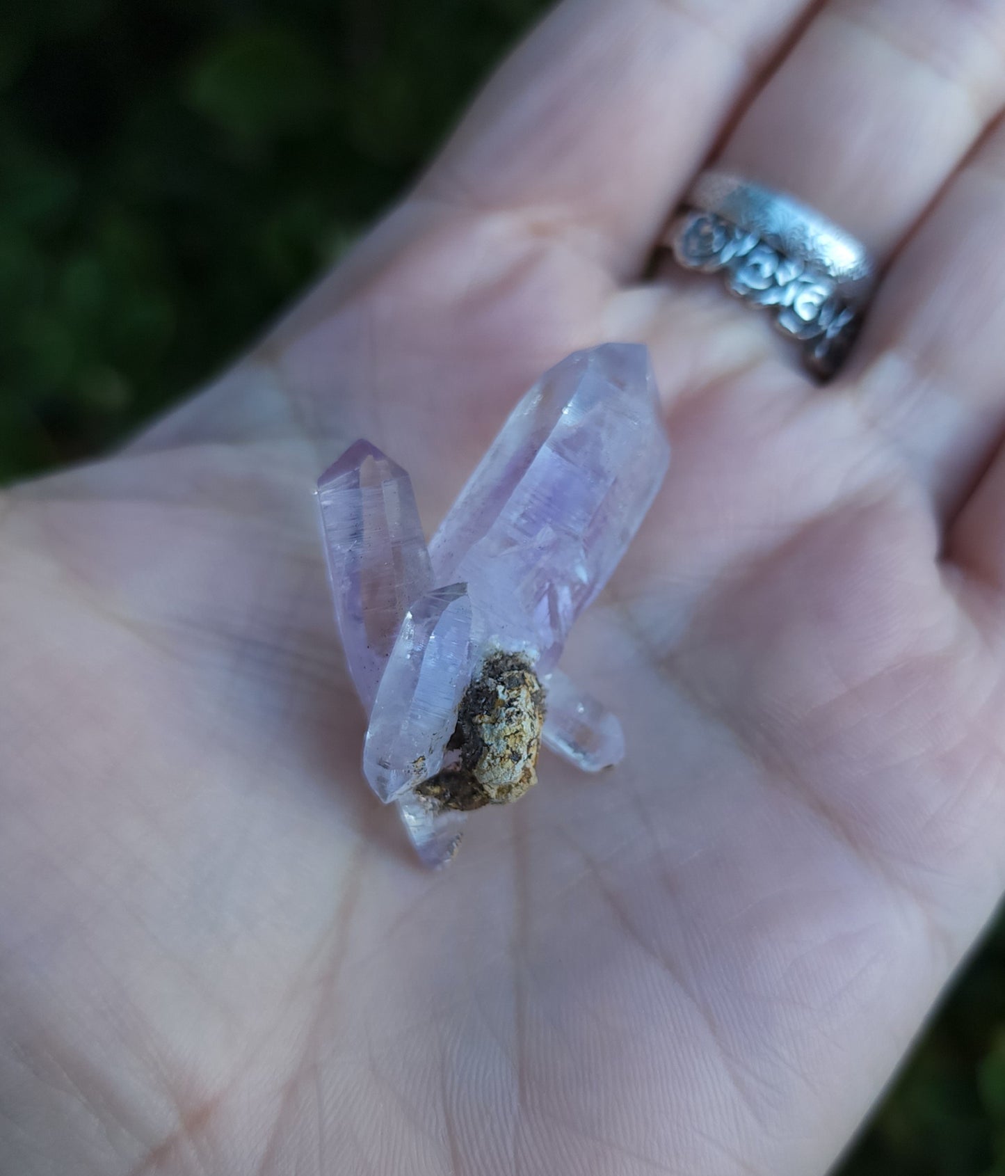 Vera Cruz Amethyst Specimen