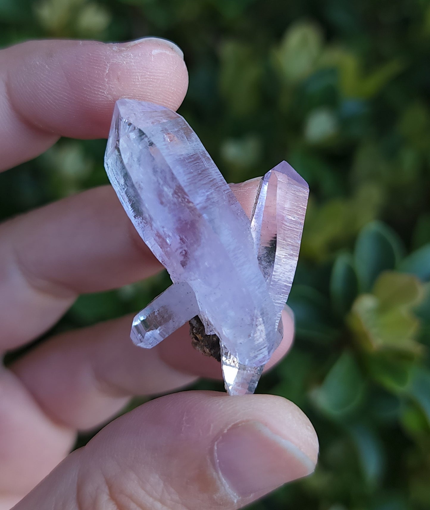 Vera Cruz Amethyst Specimen