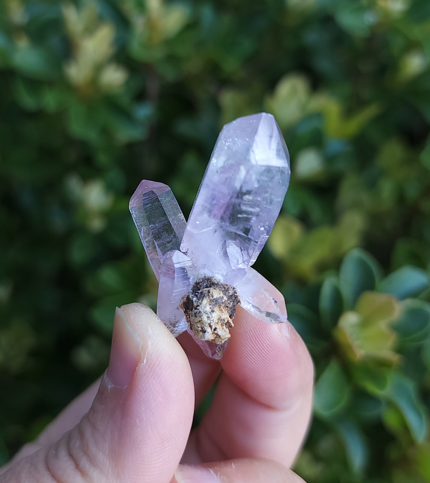 Vera Cruz Amethyst Specimen