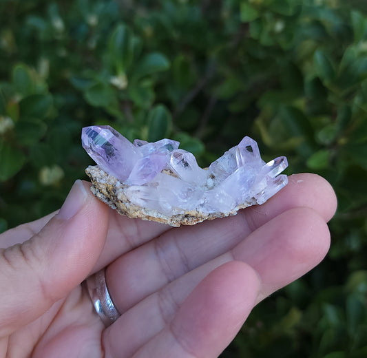 Vera Cruz Amethyst Specimen
