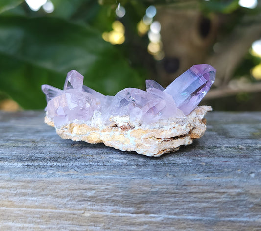 Vera Cruz Amethyst Specimen