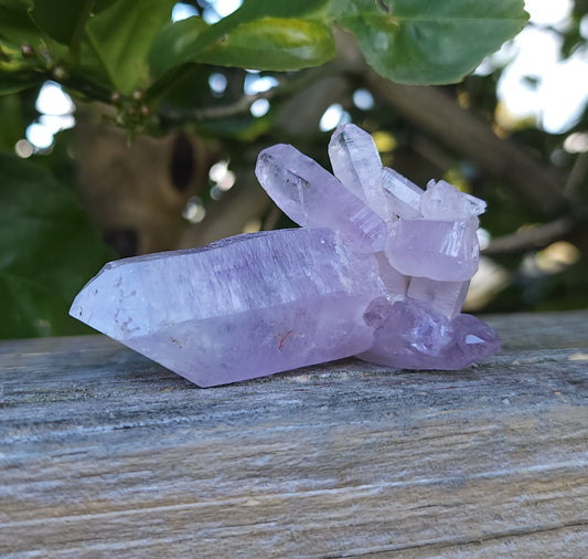 Vera Cruz Amethyst Specimen