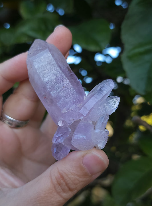 Vera Cruz Amethyst Specimen