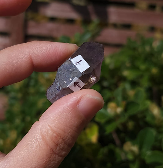 Smoky Amethyst Scepter Enhydro