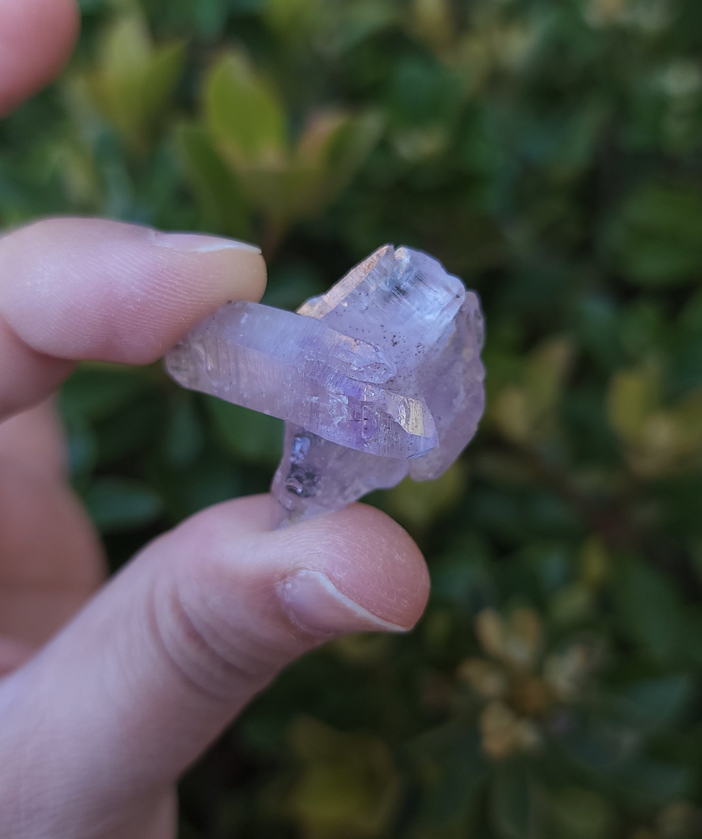 Vera Cruz Amethyst Specimen