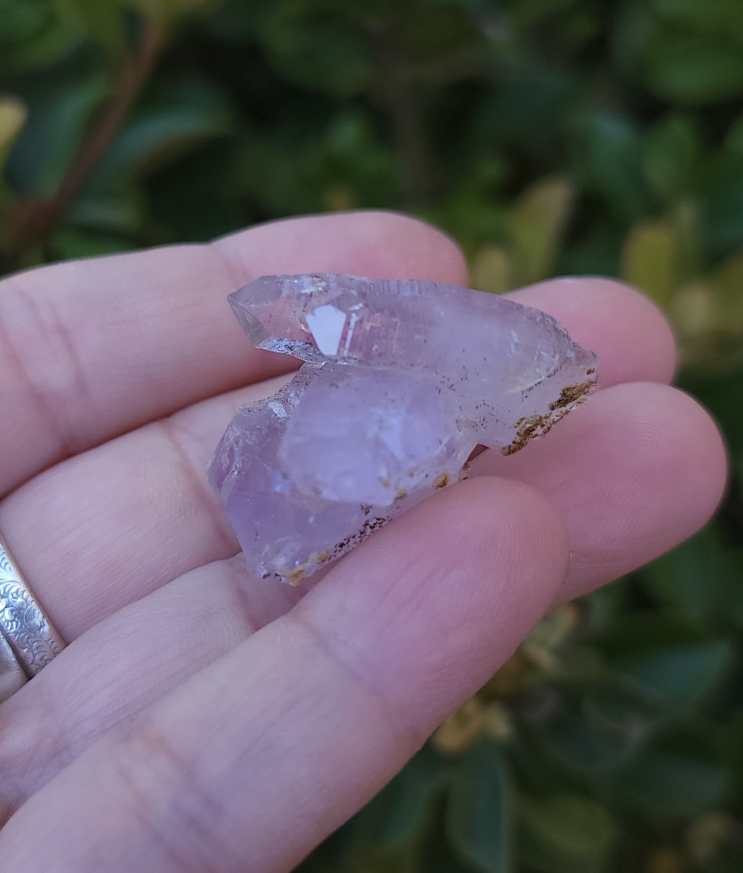 Vera Cruz Amethyst Specimen