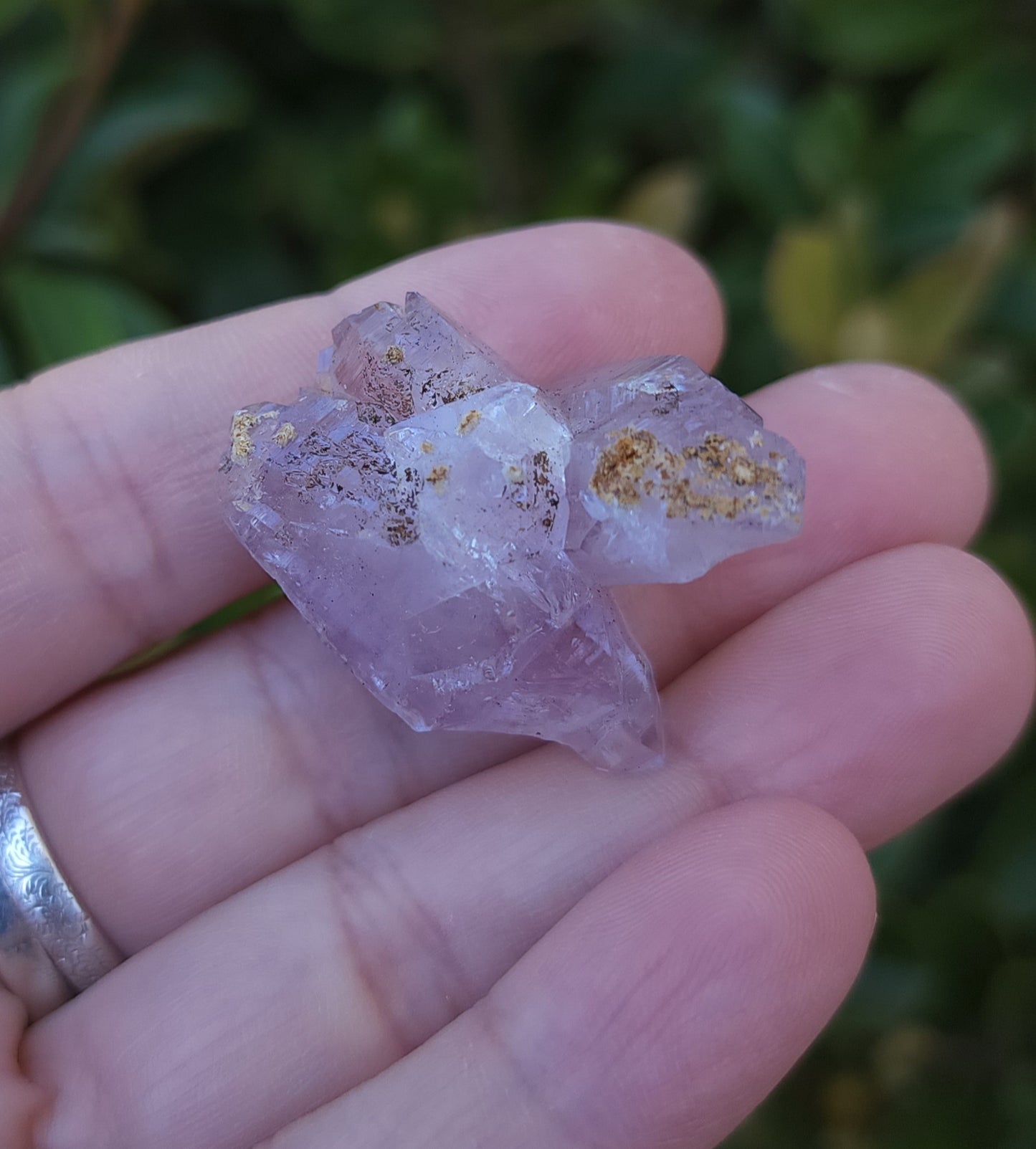 Vera Cruz Amethyst Specimen