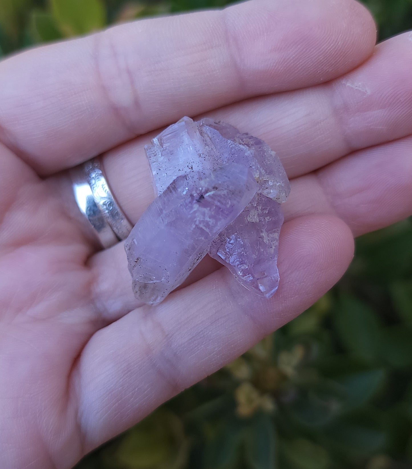 Vera Cruz Amethyst Specimen