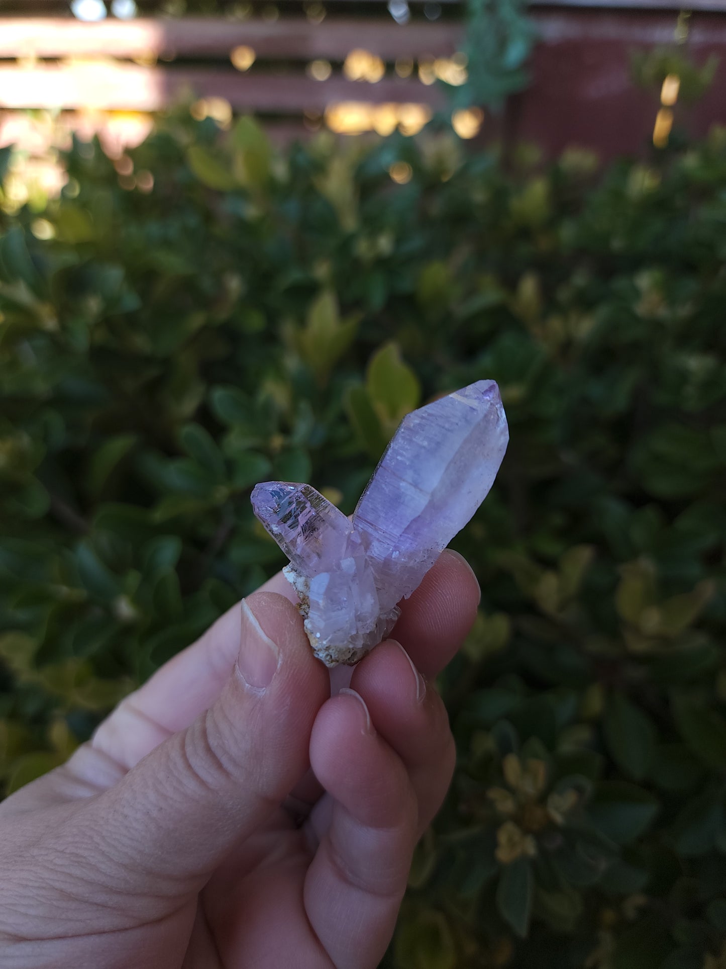 Vera Cruz Amethyst Specimen