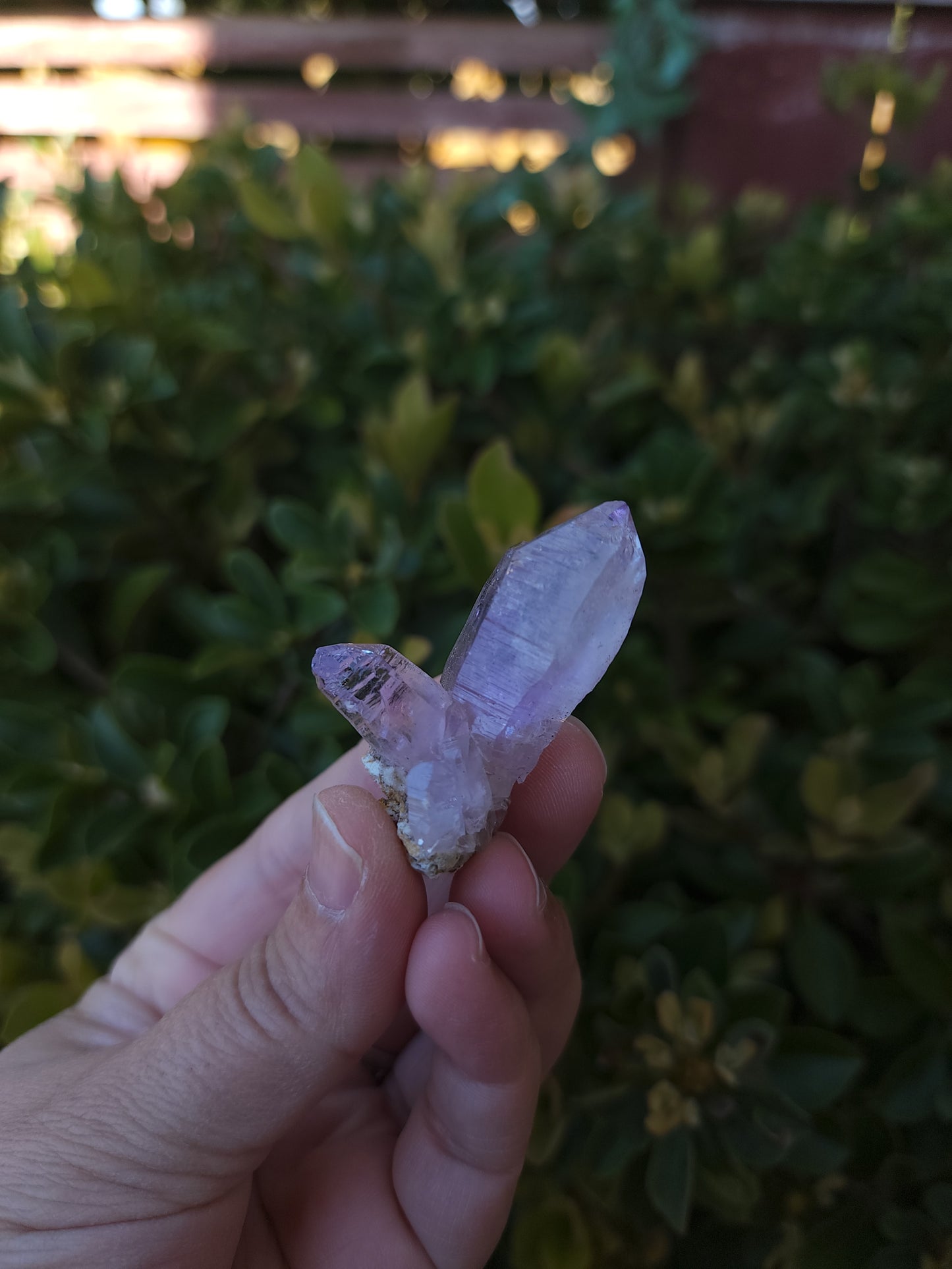 Vera Cruz Amethyst Specimen