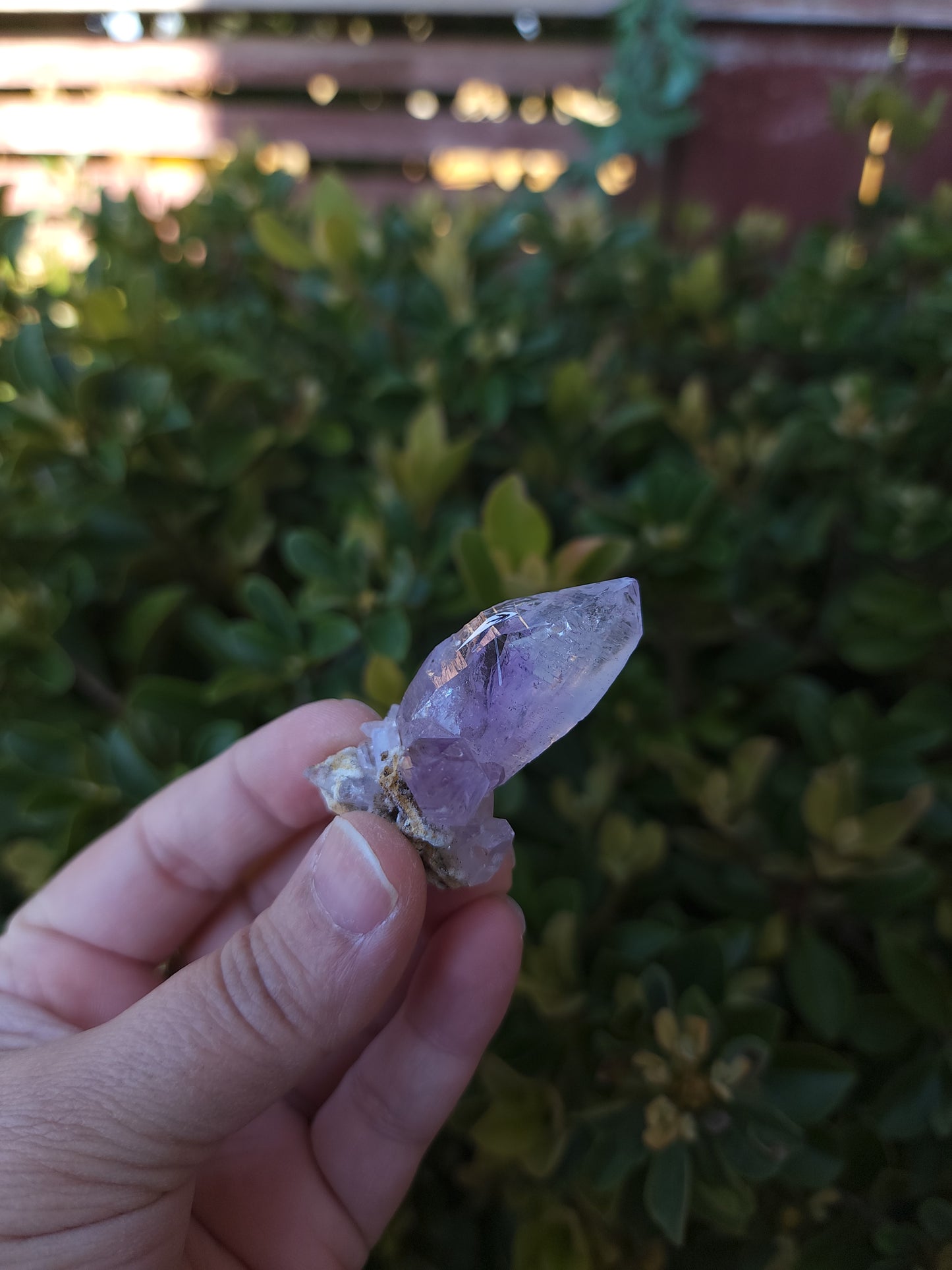 Vera Cruz Amethyst Specimen