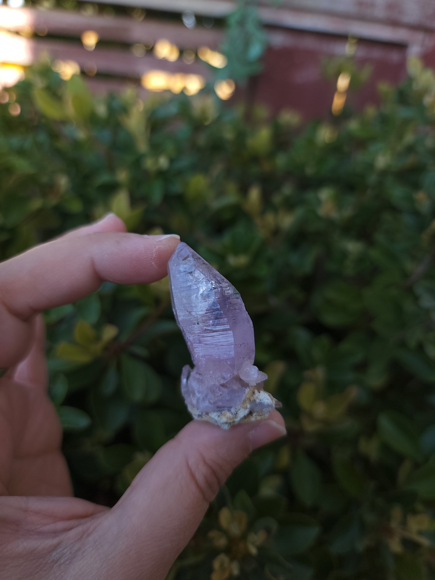 Vera Cruz Amethyst Specimen