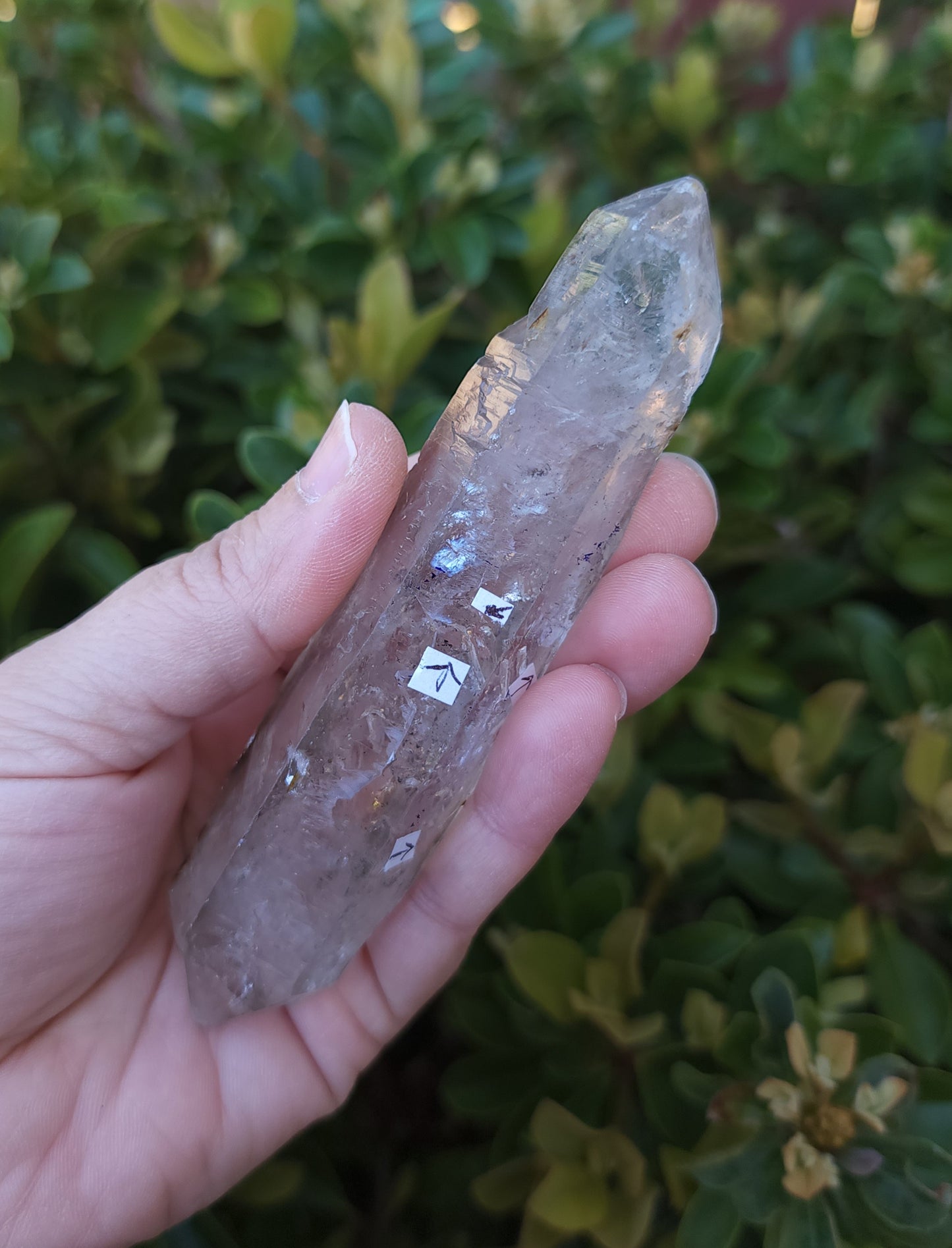 Double Terminated Clear Quartz Enhydro Wand