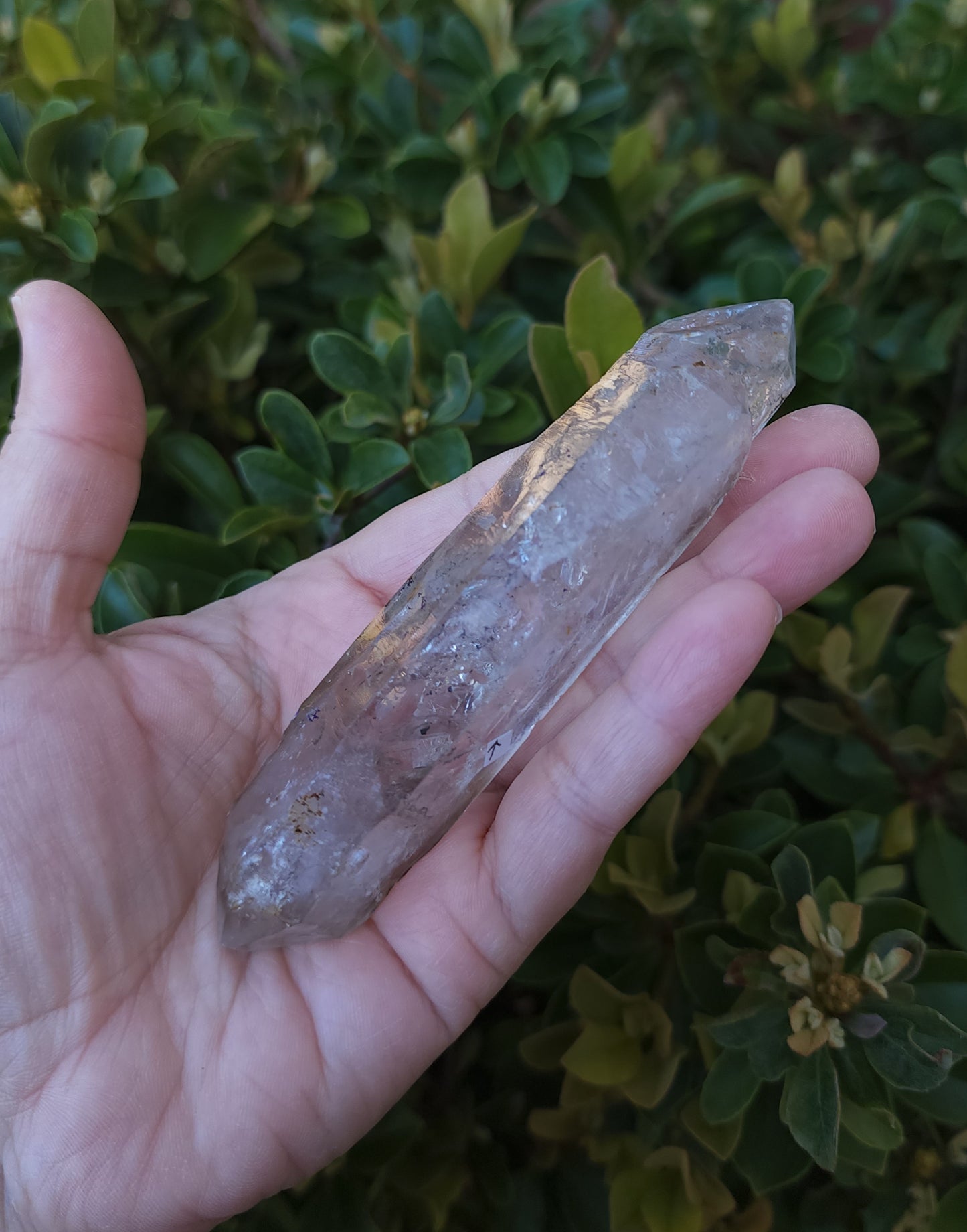 Double Terminated Clear Quartz Enhydro Wand