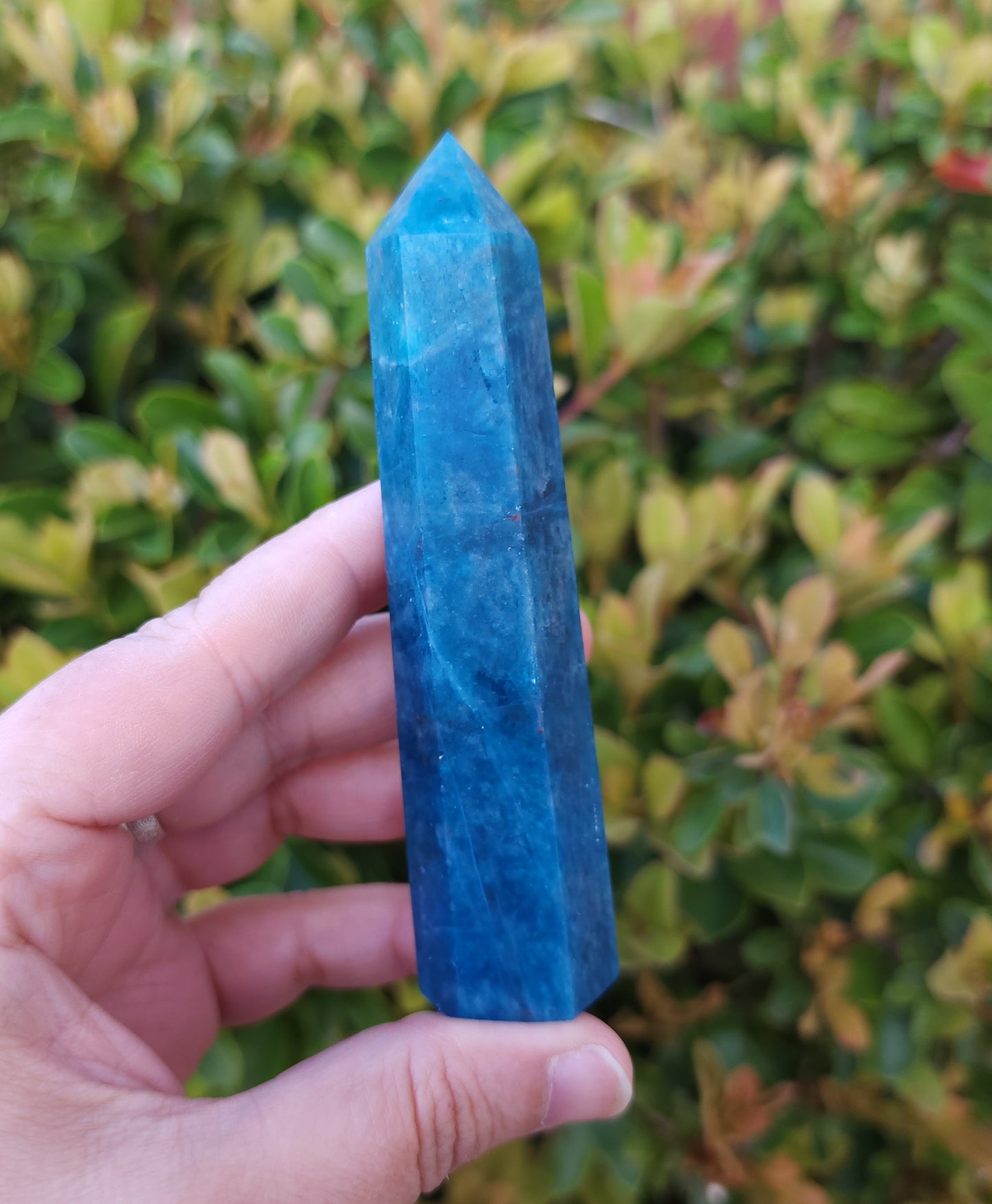 Apatite Point