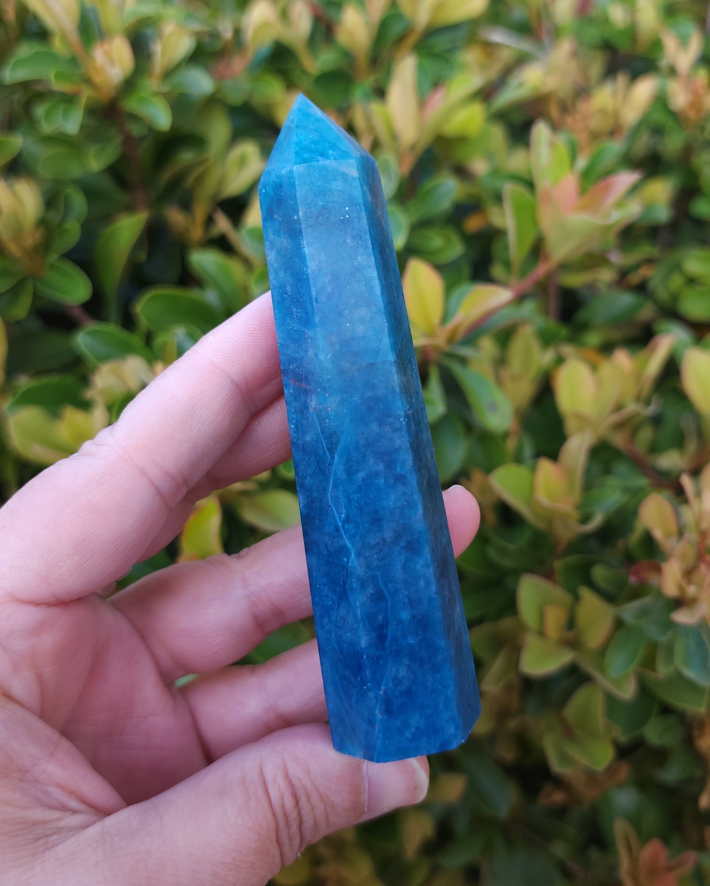 Apatite Point