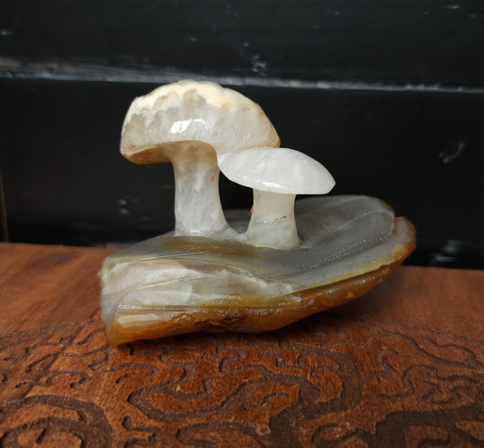 Druzy Agate Mushroom Carving