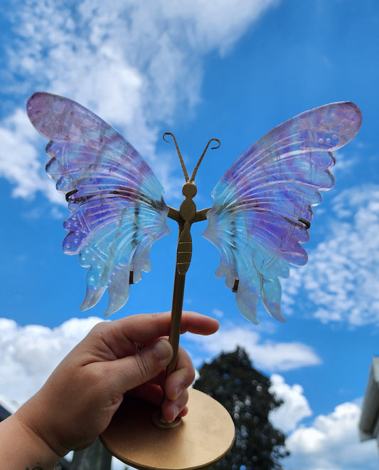 Fluorite Butterfly Wings